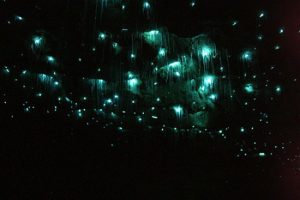Светлячки в пещерах Вайтомо