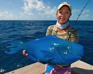 Синяя рыба-попугай