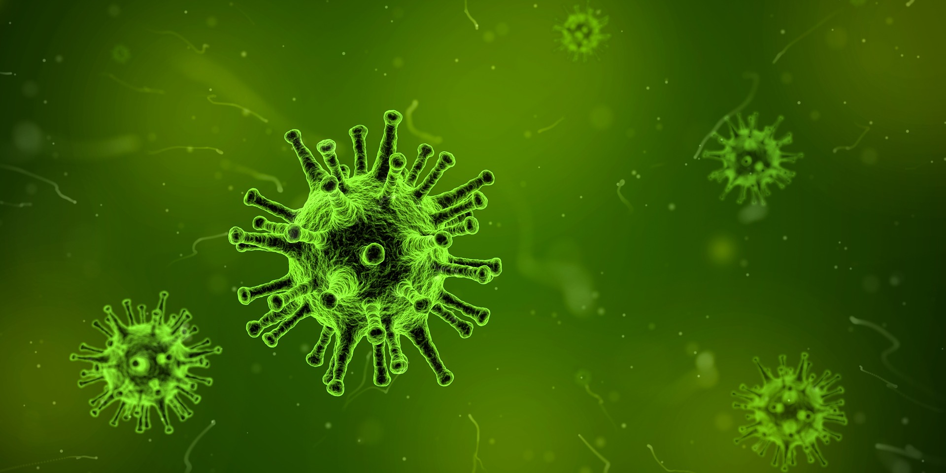 Вирусы которые опасны для человека в 2023 году